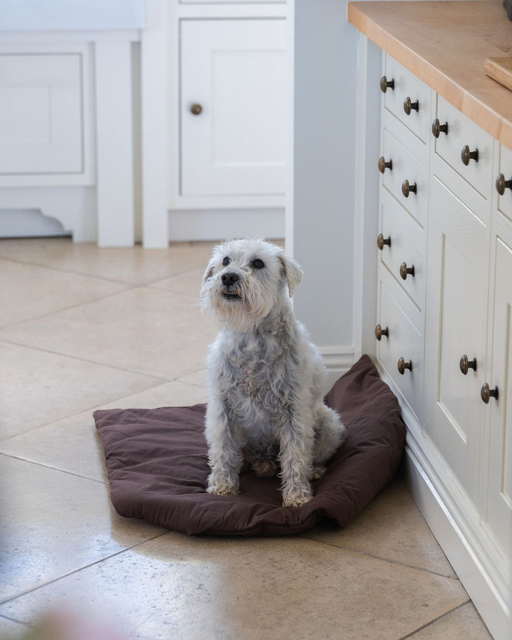 Dog Duvet | Choco Brown