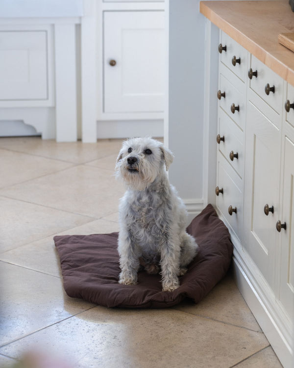 Dog Duvet | Choco Brown