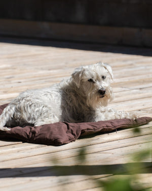 Dog Duvet | Choco Brown
