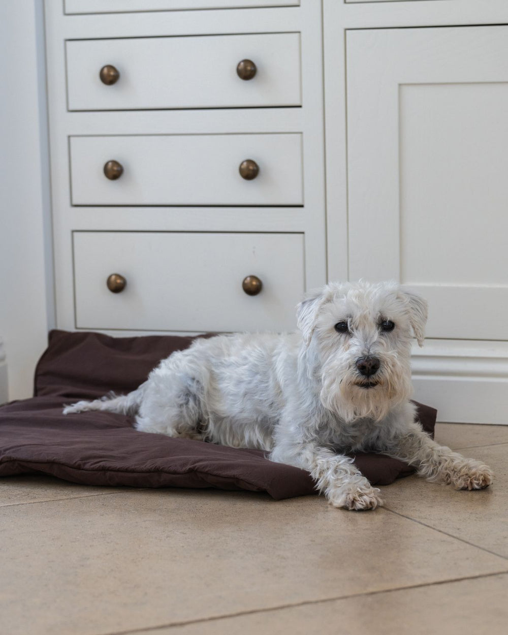 Dog Duvet | Choco Brown