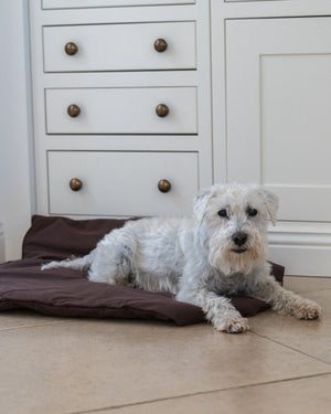 Dog Duvet | Choco Brown