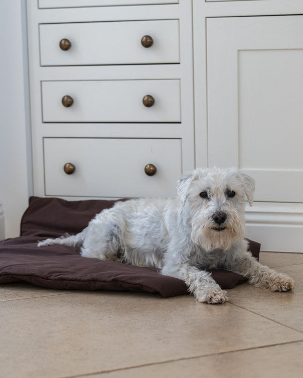 Dog Duvet | Choco Brown