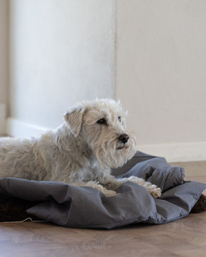 Dog Duvet | Dark Grey