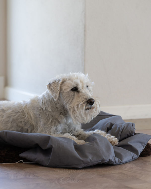 Dog Duvet | Dark Grey
