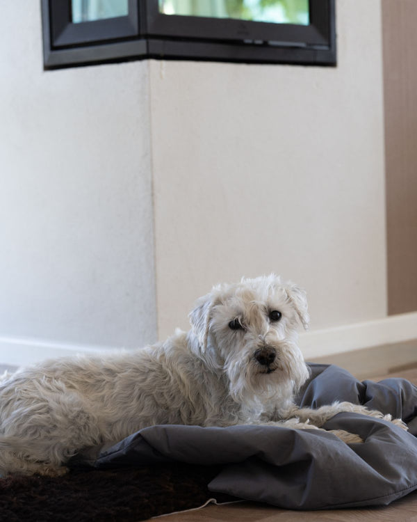 Dog Duvet | Dark Grey