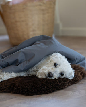 Dog Duvet | Dark Grey