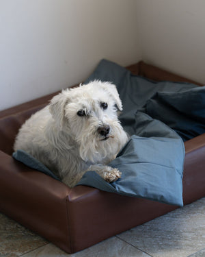 Dog Duvet | Stormy Blue