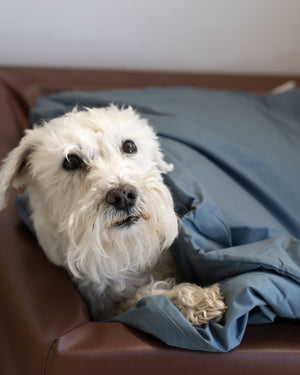 Dog Duvet | Stormy Blue