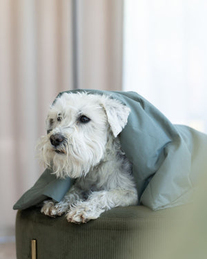 Dog Duvet | Thyme Green