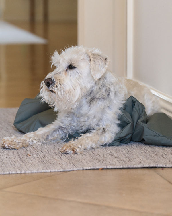 Dog Duvet | Thyme Green