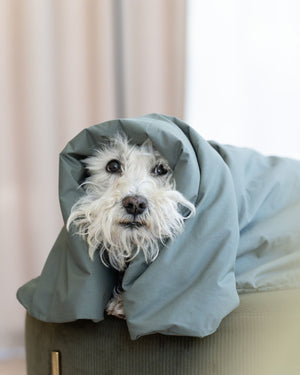 Dog Duvet | Thyme Green